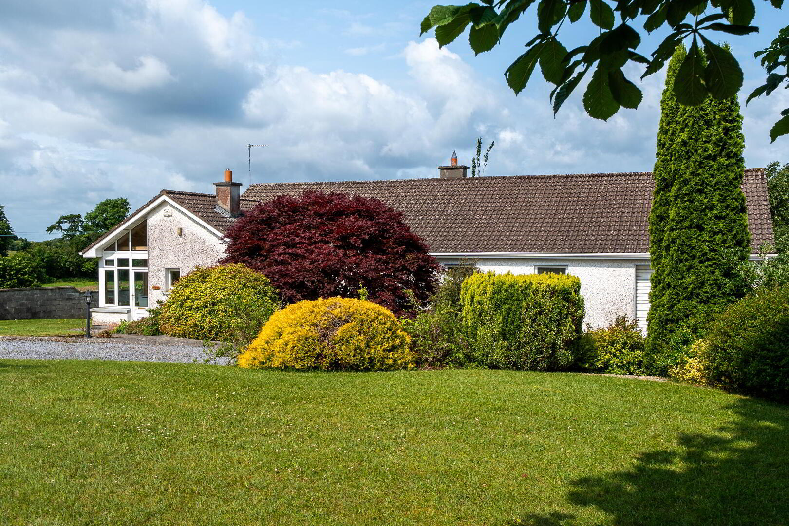 Cosh Ogle 3 of 36