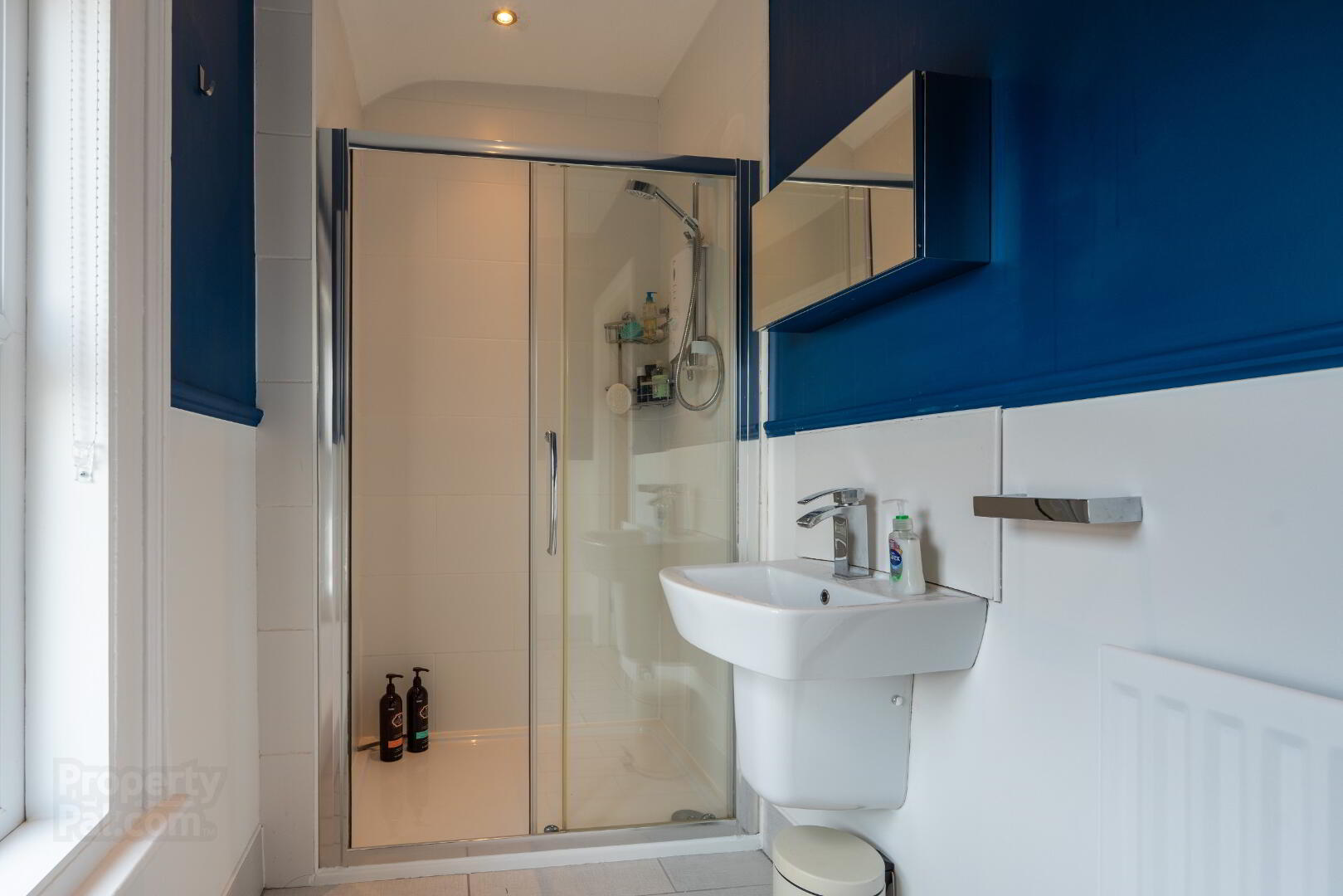 20 St Judes Avenue 41 of 42