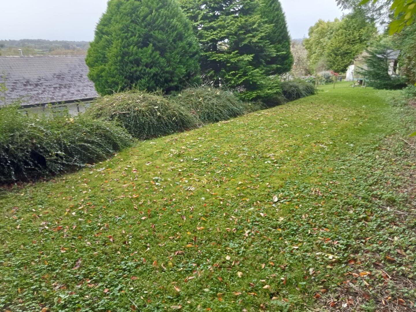 13a Bann Road 18 of 20
