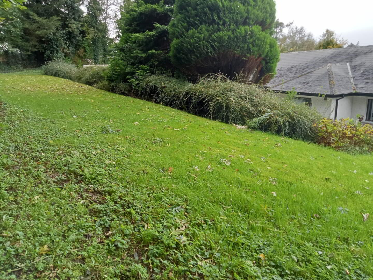 13a Bann Road 20 of 20