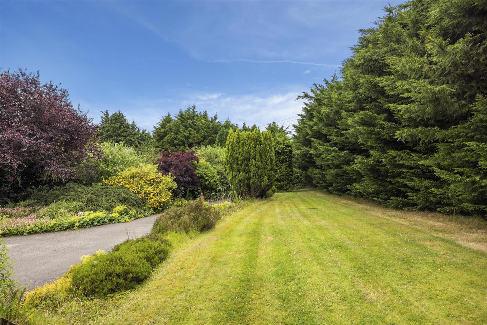 Dwelling, Building Site & Land At, 7 Loughanmore Rd 31 of 58