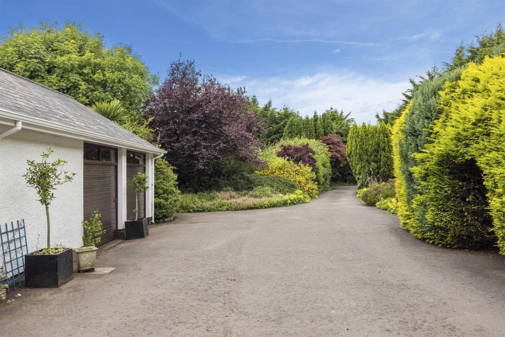 Dwelling, Building Site & Land At, 7 Loughanmore Rd 40 of 58
