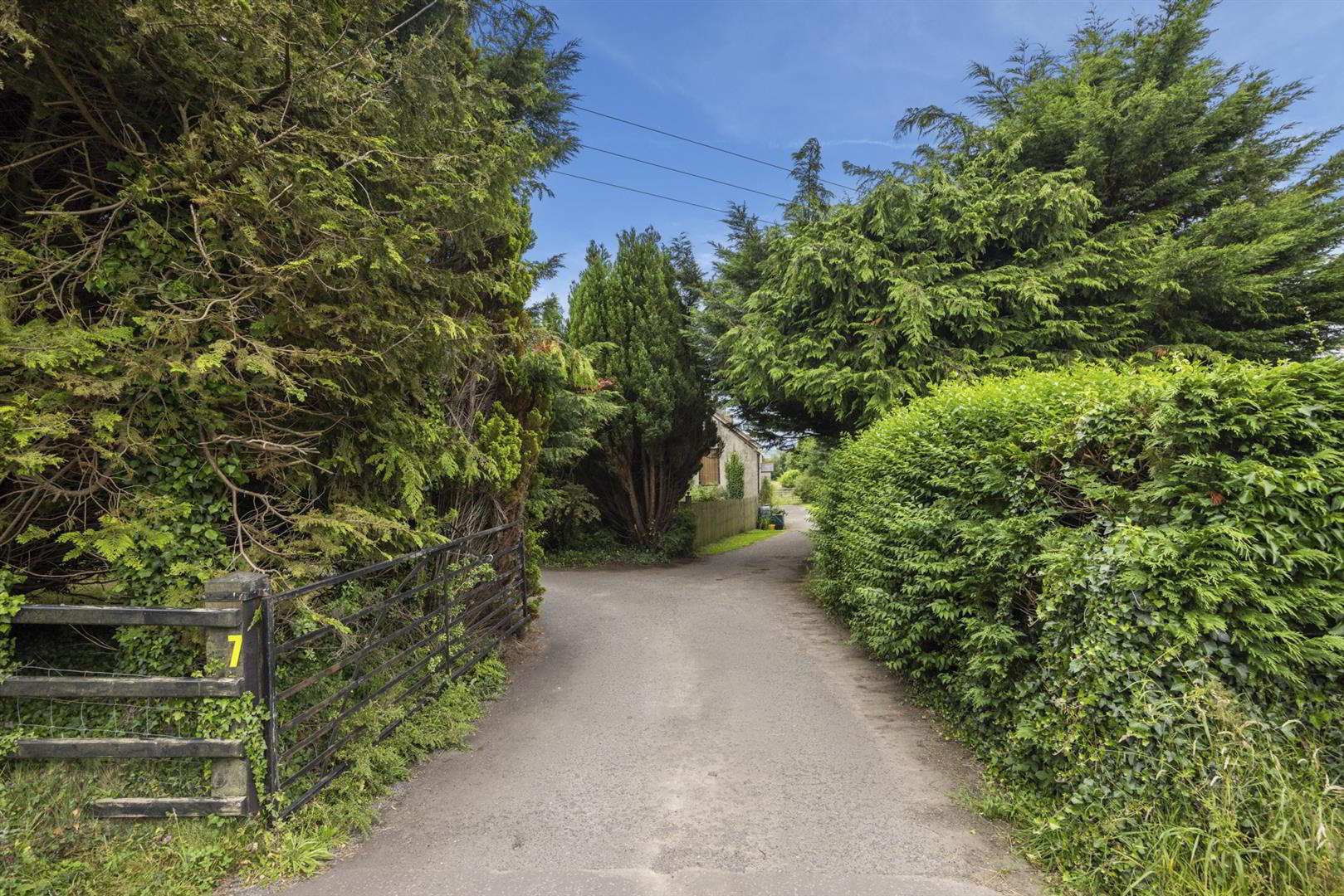 Dwelling, Building Site & Land At, 7 Loughanmore Rd 41 of 58