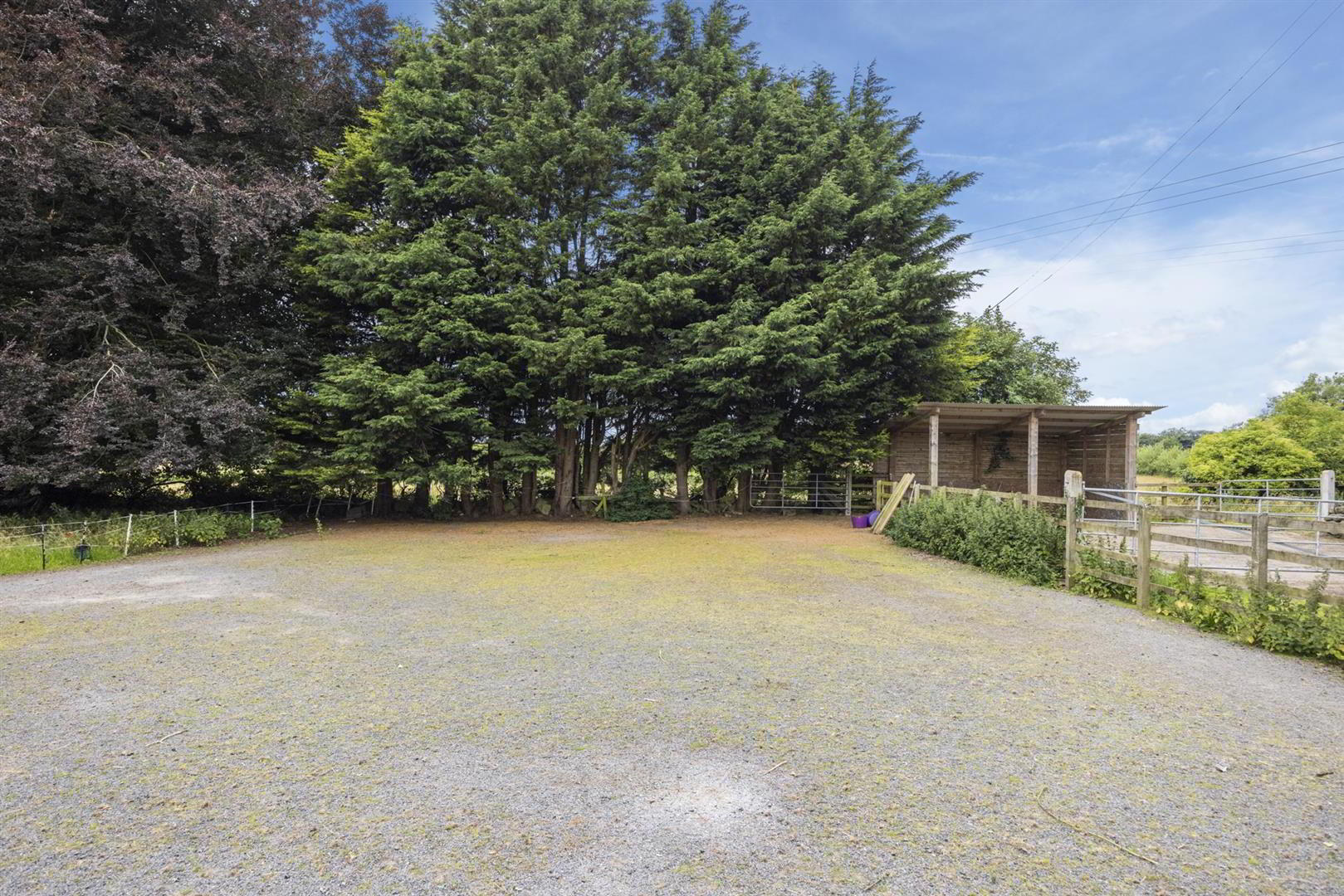 Dwelling, Building Site & Land At, 7 Loughanmore Rd 48 of 58