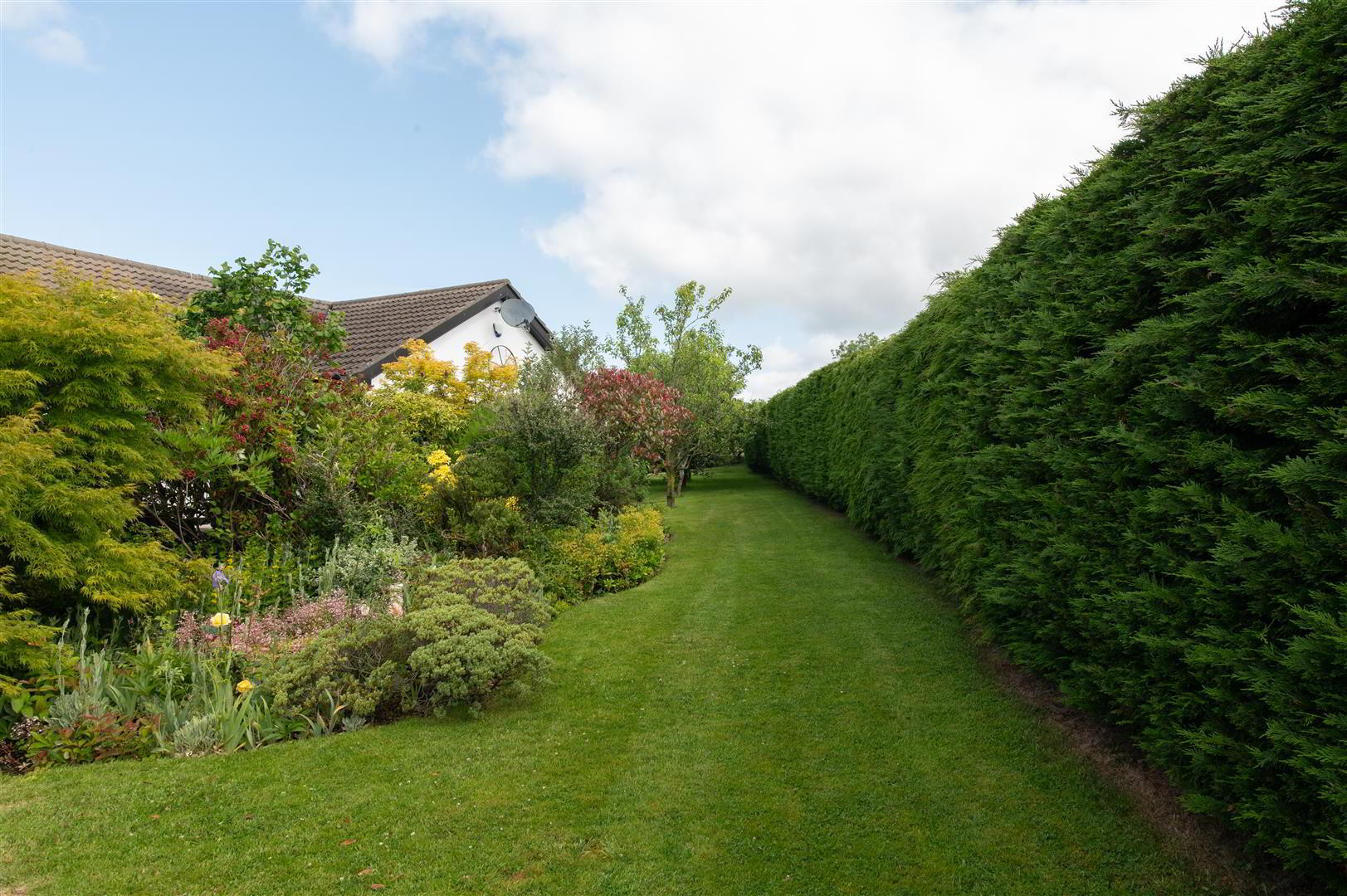 252a & 252b Castlewellan Road 32 of 56
