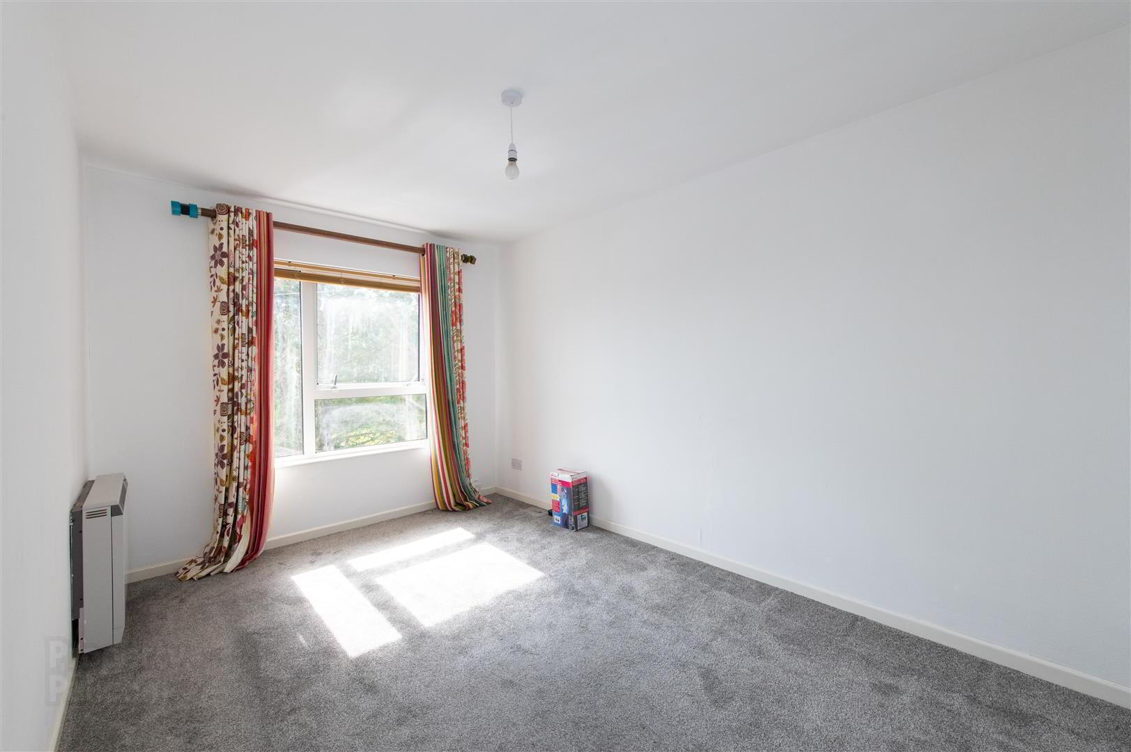 252a & 252b Castlewellan Road 50 of 56