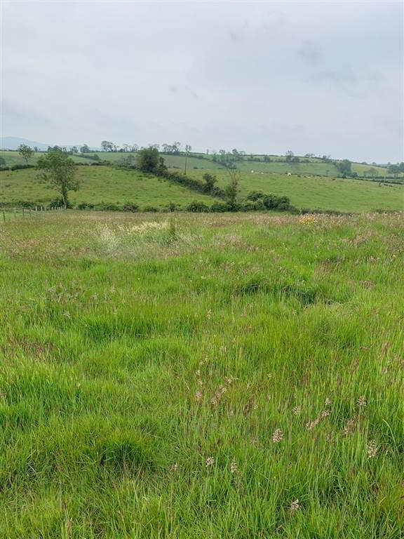 property description image