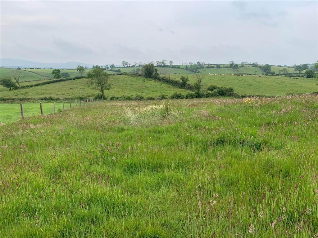 10.67 Acres, Of Agricultural Land 1 of 3