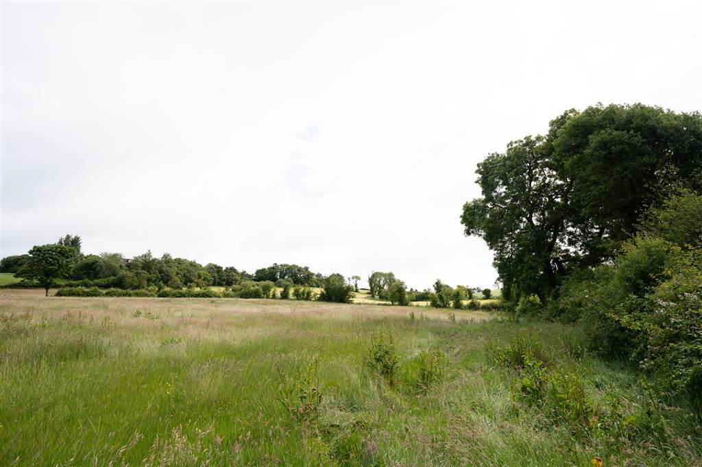 10.67 Acres, Of Agricultural Land 9 of 10