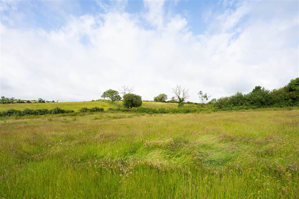 10.67 Acres, Of Agricultural Land 6 of 10