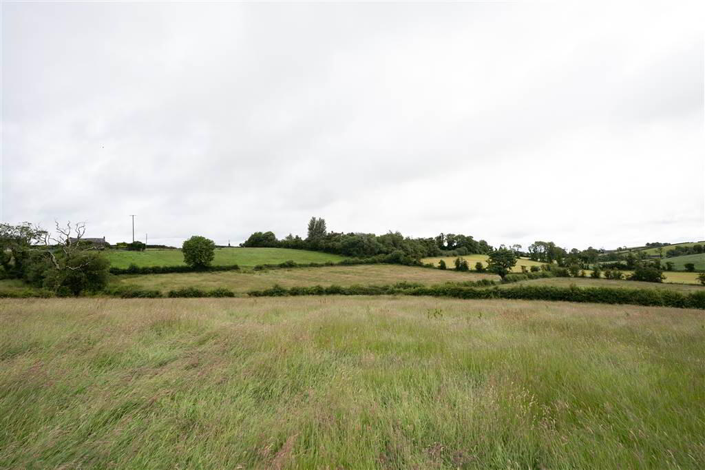10.67 Acres, Of Agricultural Land 10 of 10
