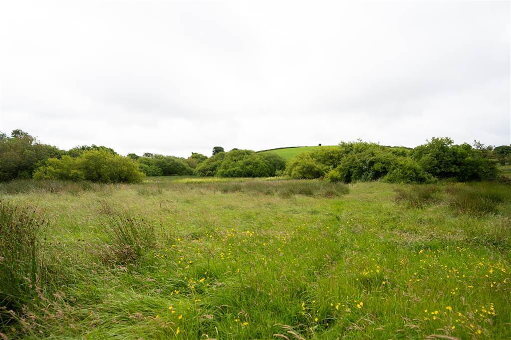10.67 Acres, Of Agricultural Land 7 of 10