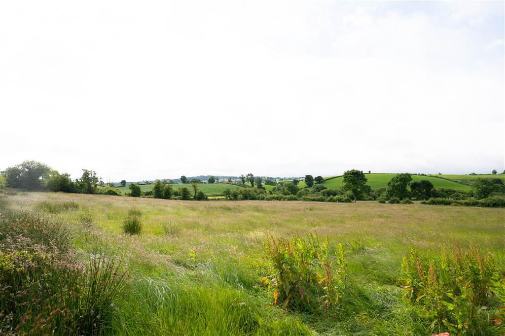 10.67 Acres, Of Agricultural Land 3 of 10