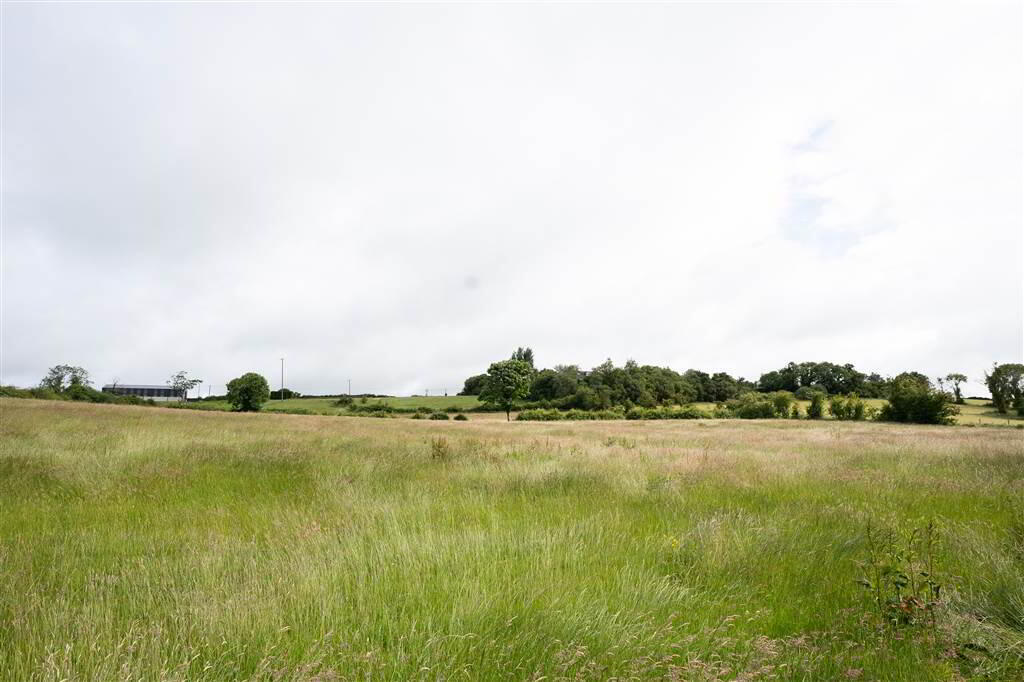 10.67 Acres, Of Agricultural Land 8 of 10