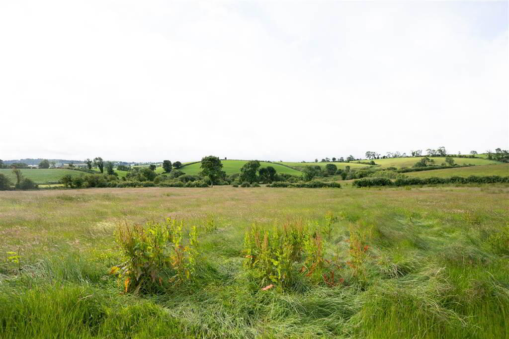 10.67 Acres, Of Agricultural Land 4 of 10