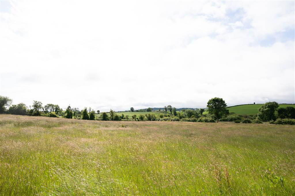 10.67 Acres, Of Agricultural Land 5 of 10