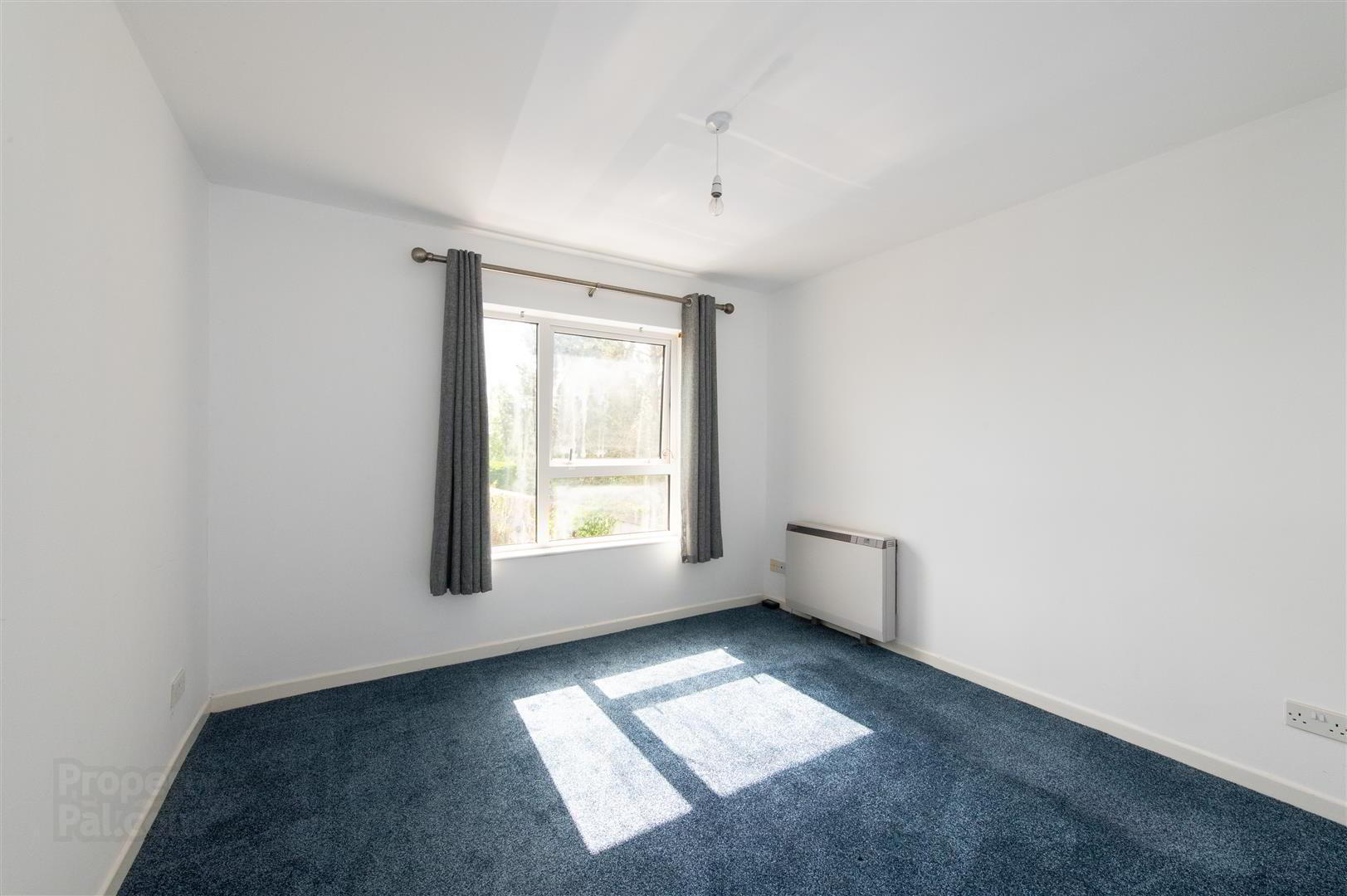 252a & 252b Castlewellan Road 49 of 56