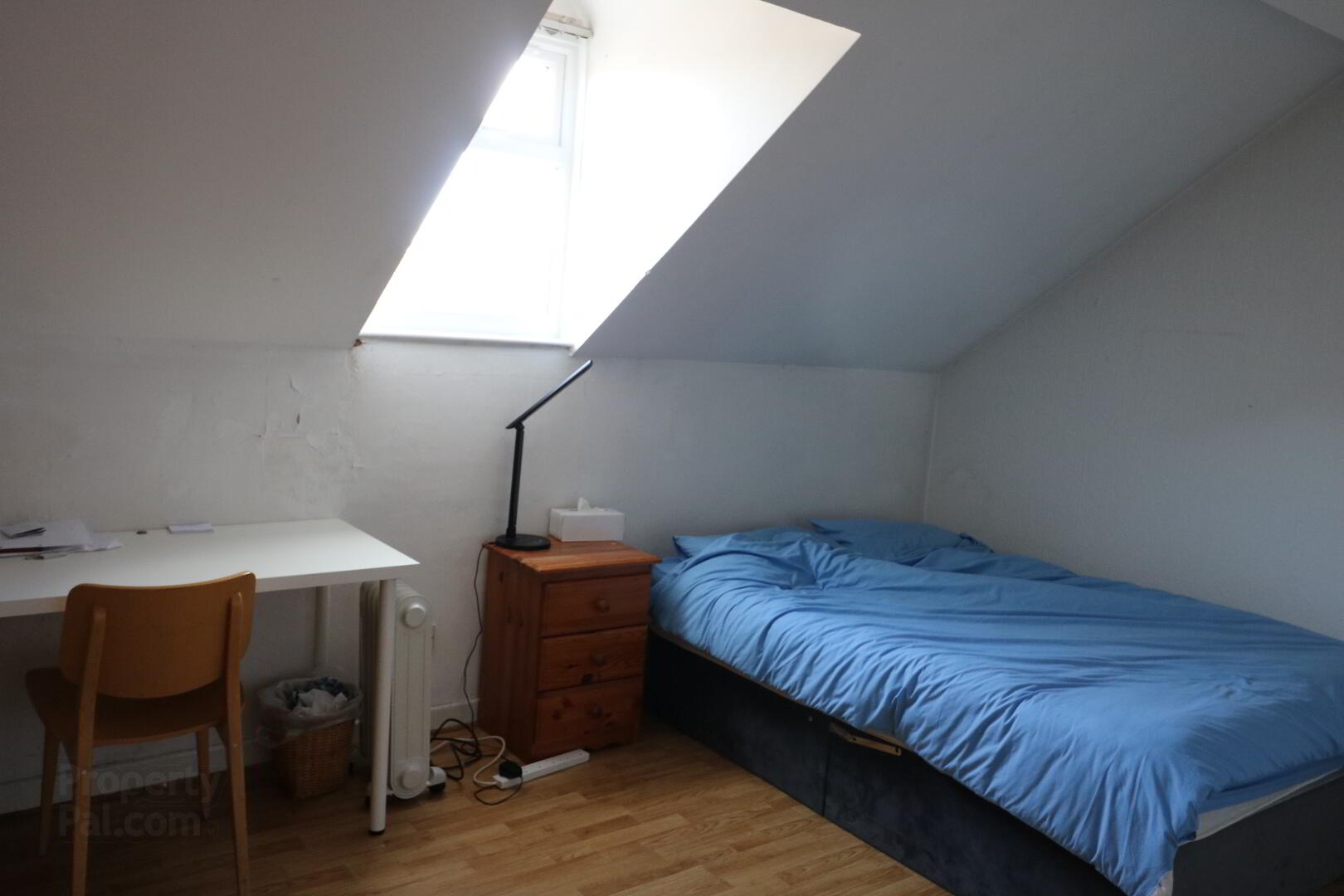 20 Canterbury Street 7 of 12