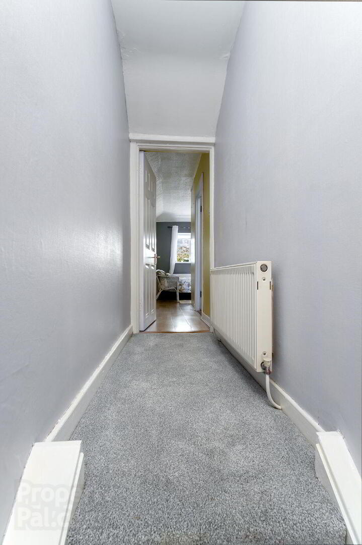 177 Thomond Road 17 of 31