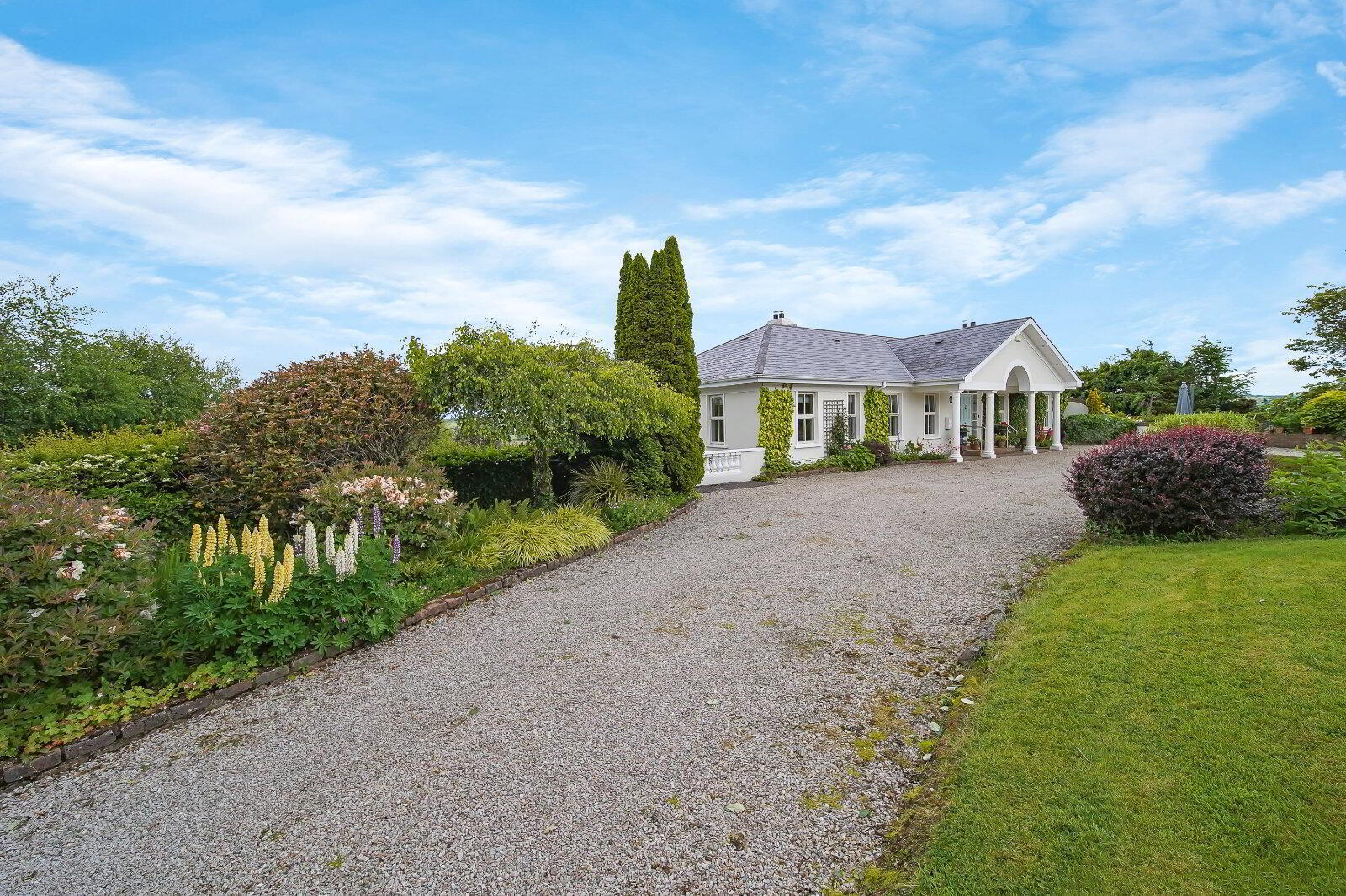 Drumardagh House, Drumardagh 45 of 46