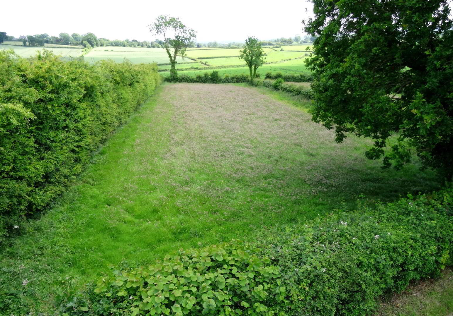 Country Cottage With Total Grounds Extending To Ap, 1 Lime Kiln Road 39 of 50