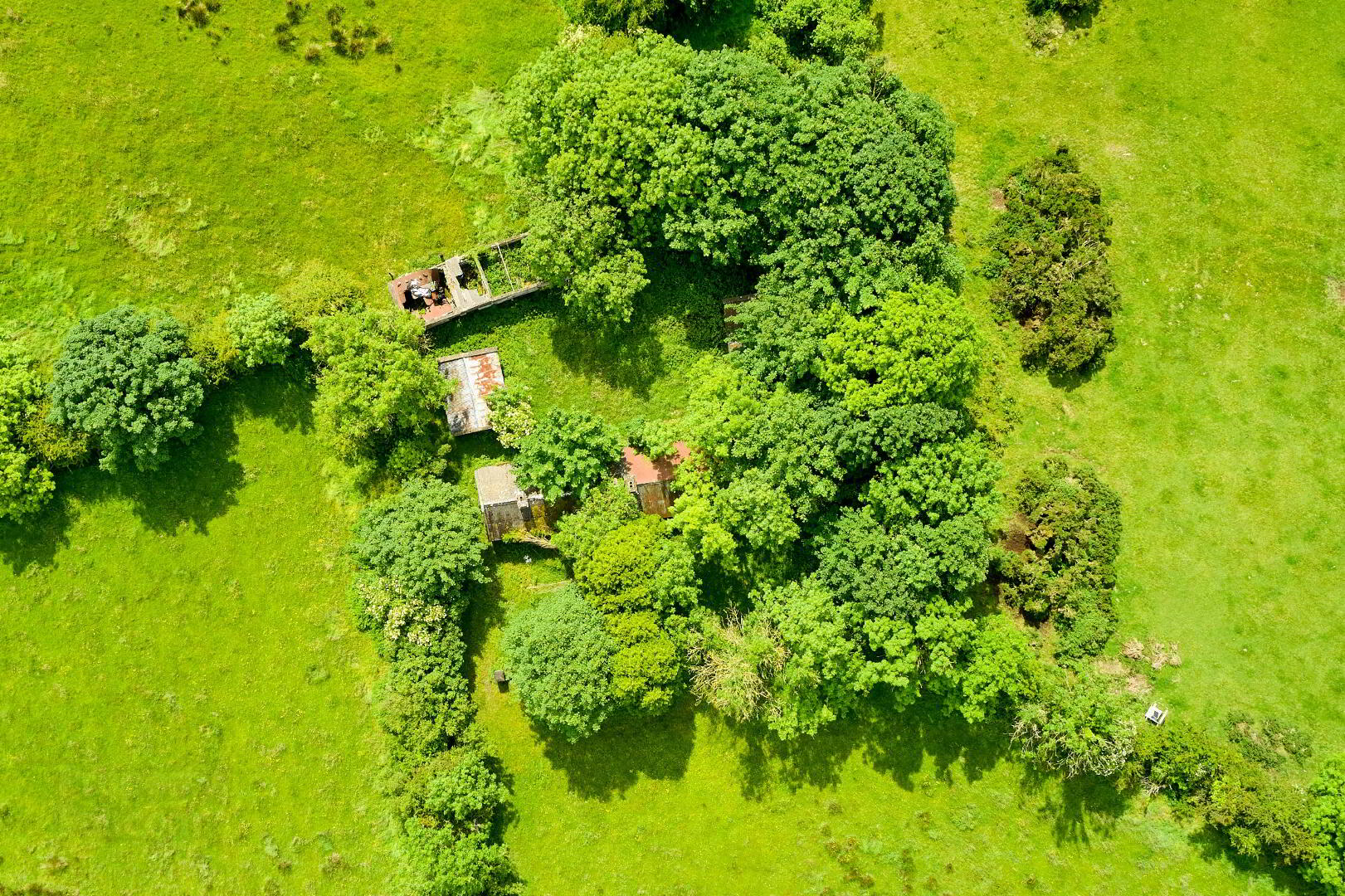 Land And Derelict Cottage, Ballydurrow 5 of 8