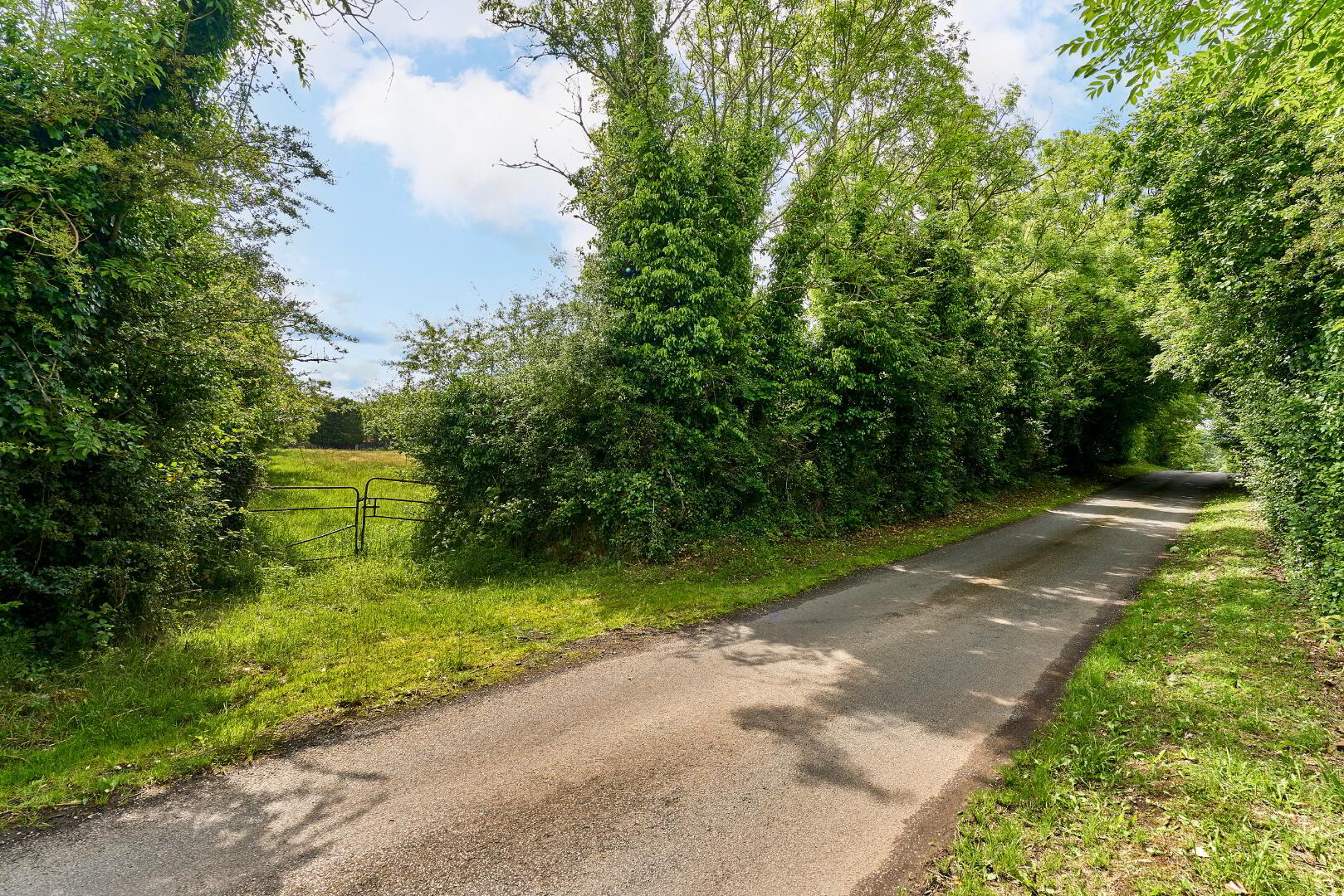 Land And Derelict Cottage, Ballydurrow 8 of 8