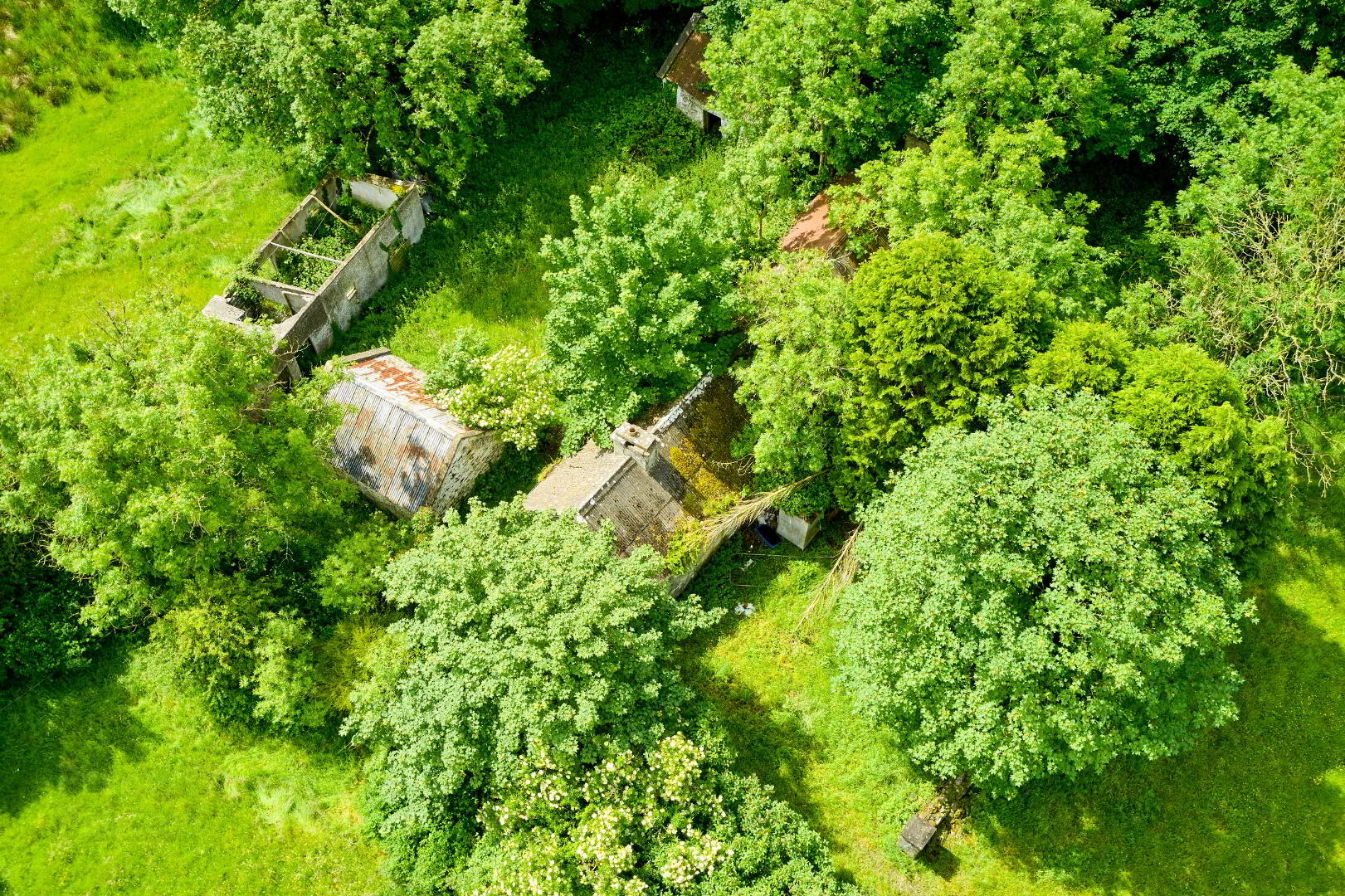 Derelict Cottage And Land, Ballydurrow 4 of 8
