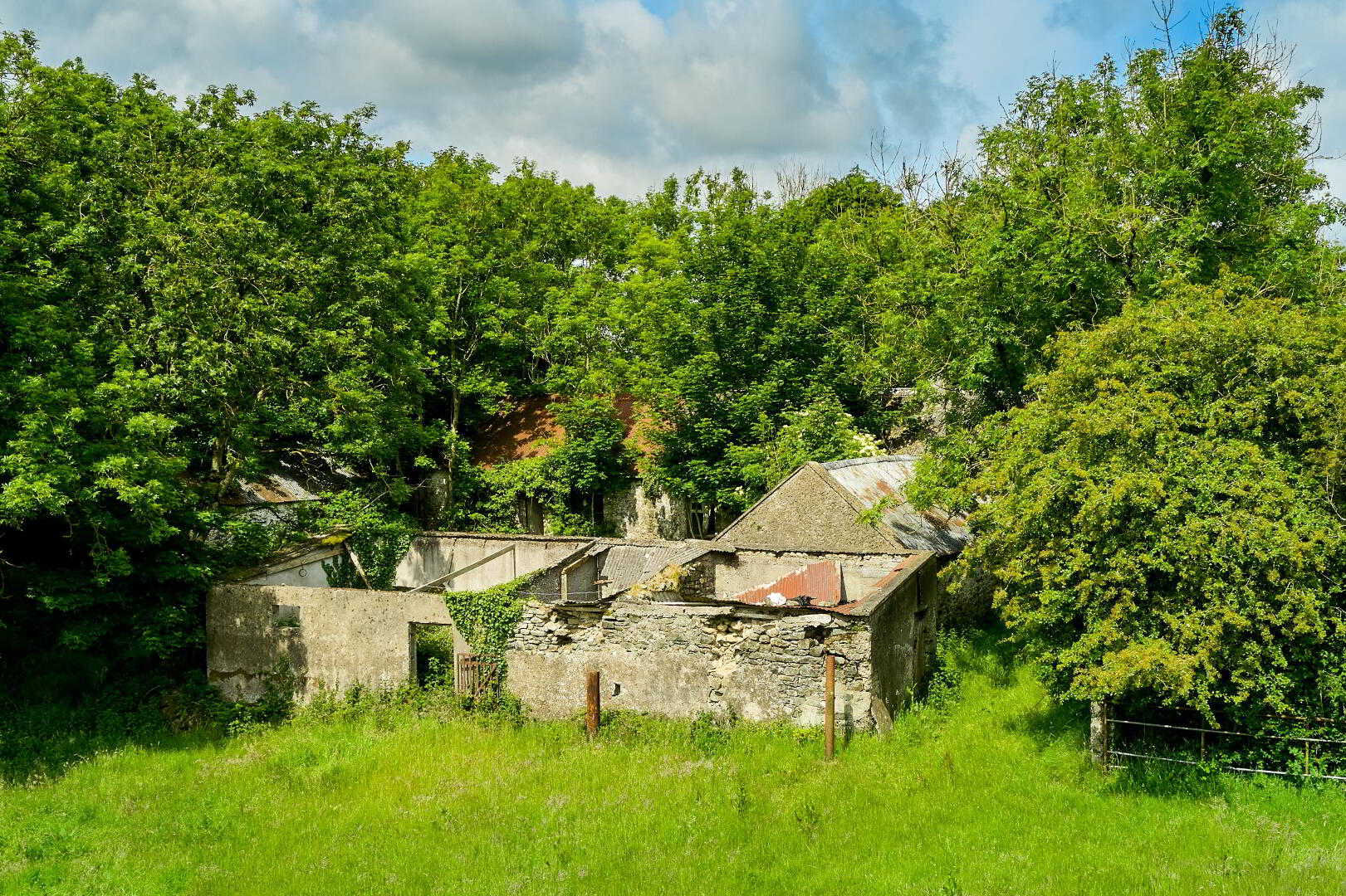Derelict Cottage And Land, Ballydurrow 5 of 8