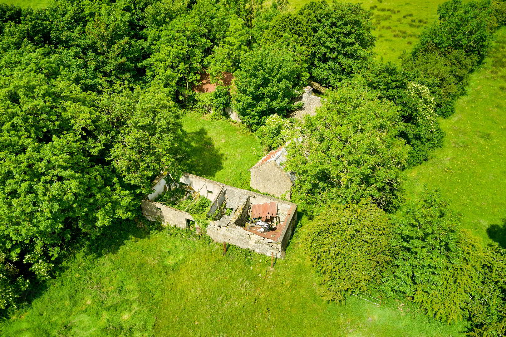 Derelict Cottage And Land, Ballydurrow 3 of 8