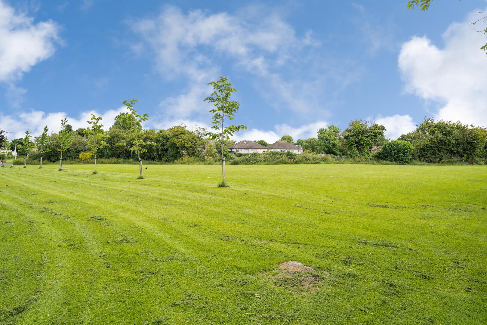 104 St Johns Crescent 21 of 21