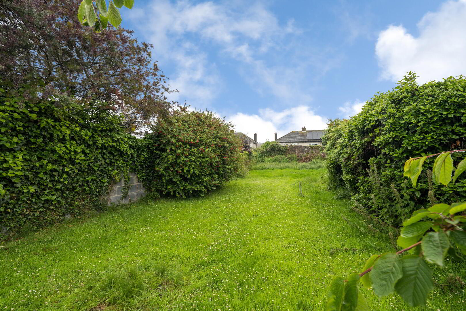 31 Wadelai Road 23 of 25