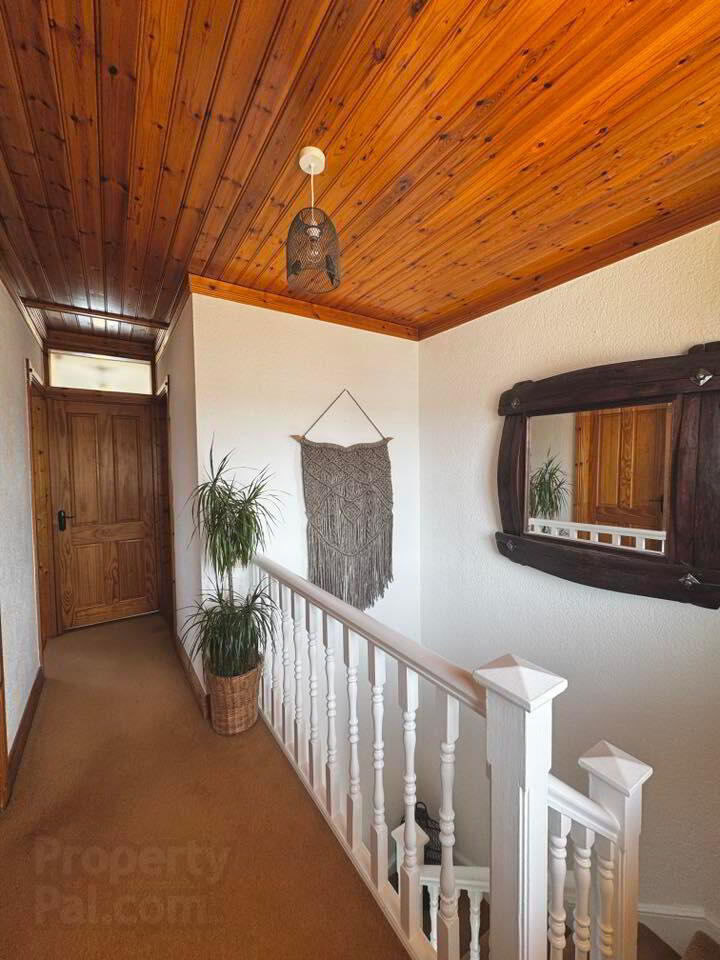1 Elmwood Park 19 of 33