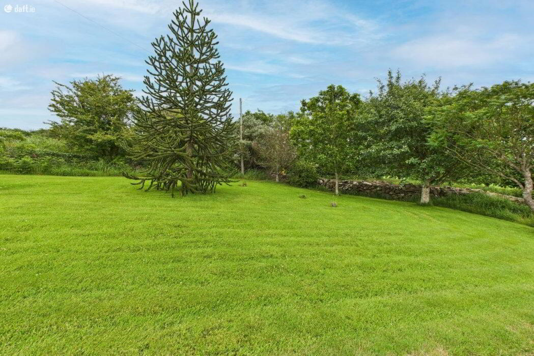 Ballylenane 10 of 51