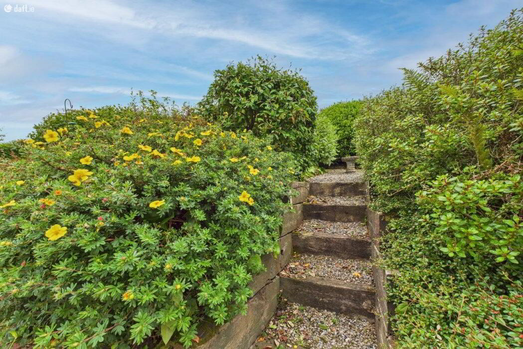 Ballylenane 47 of 51
