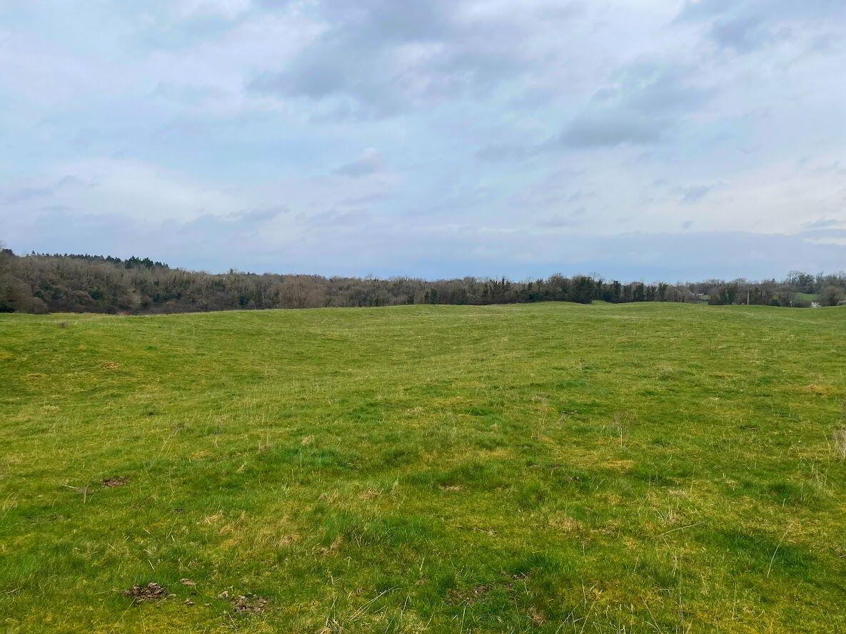 property description image