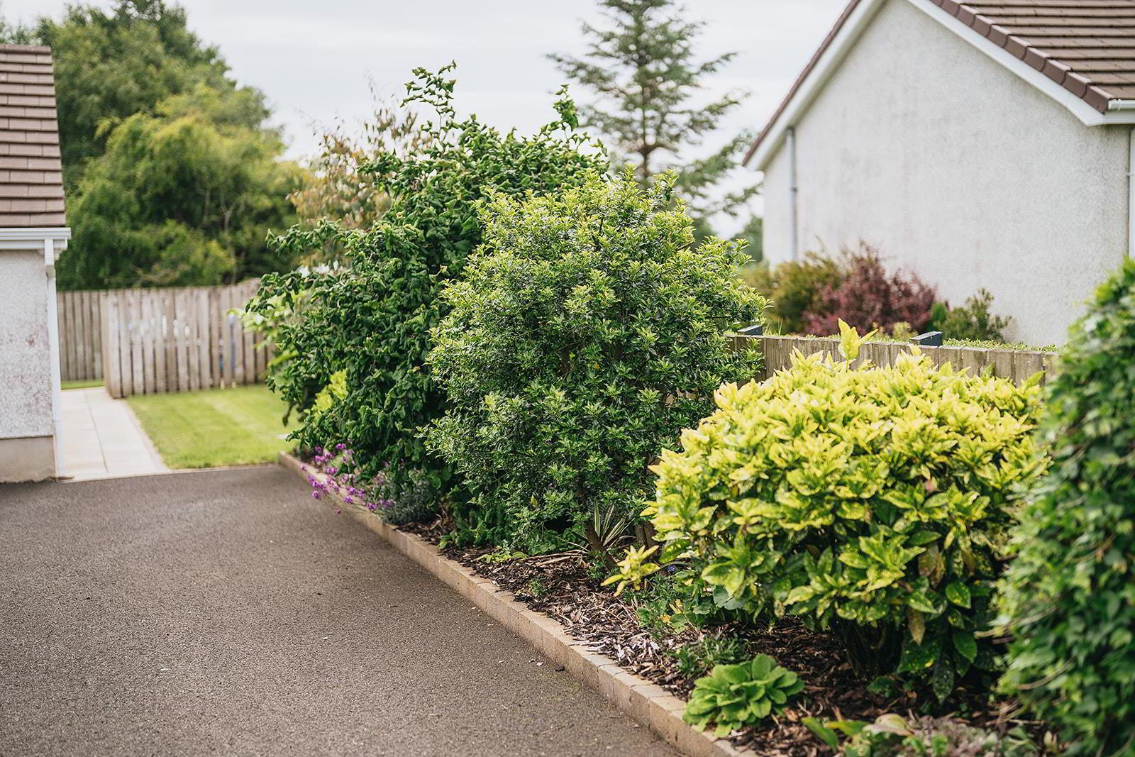 13 Kilmoyle Road 40 of 48