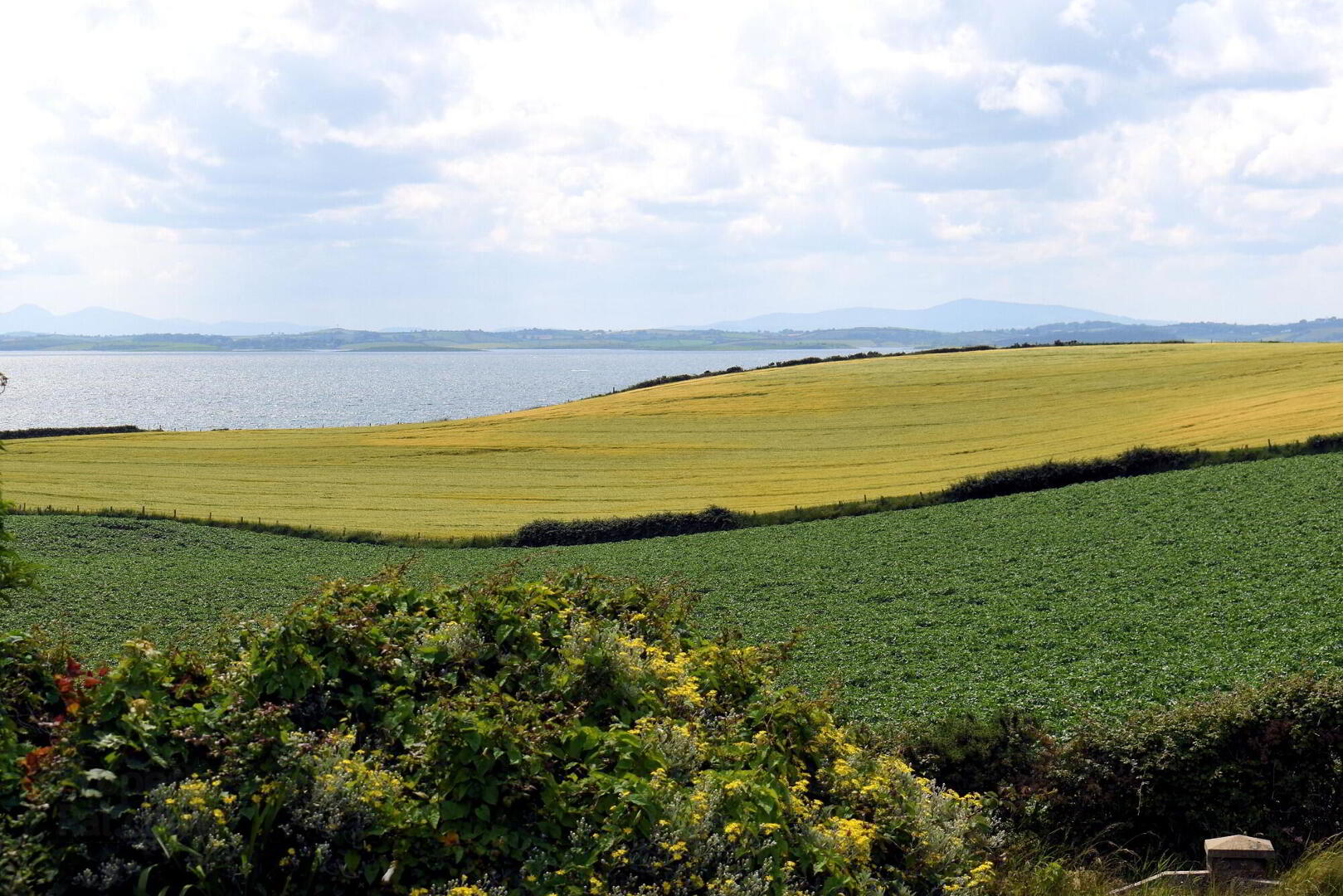 51a Portaferry Road 32 of 32
