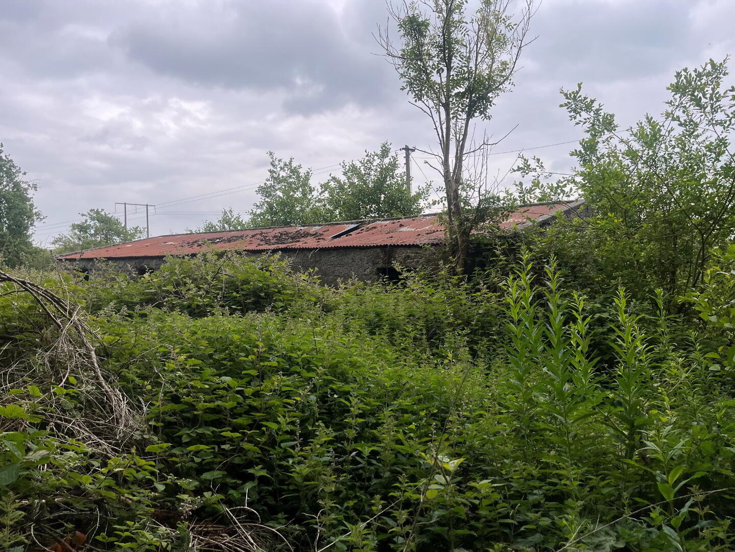 property description image