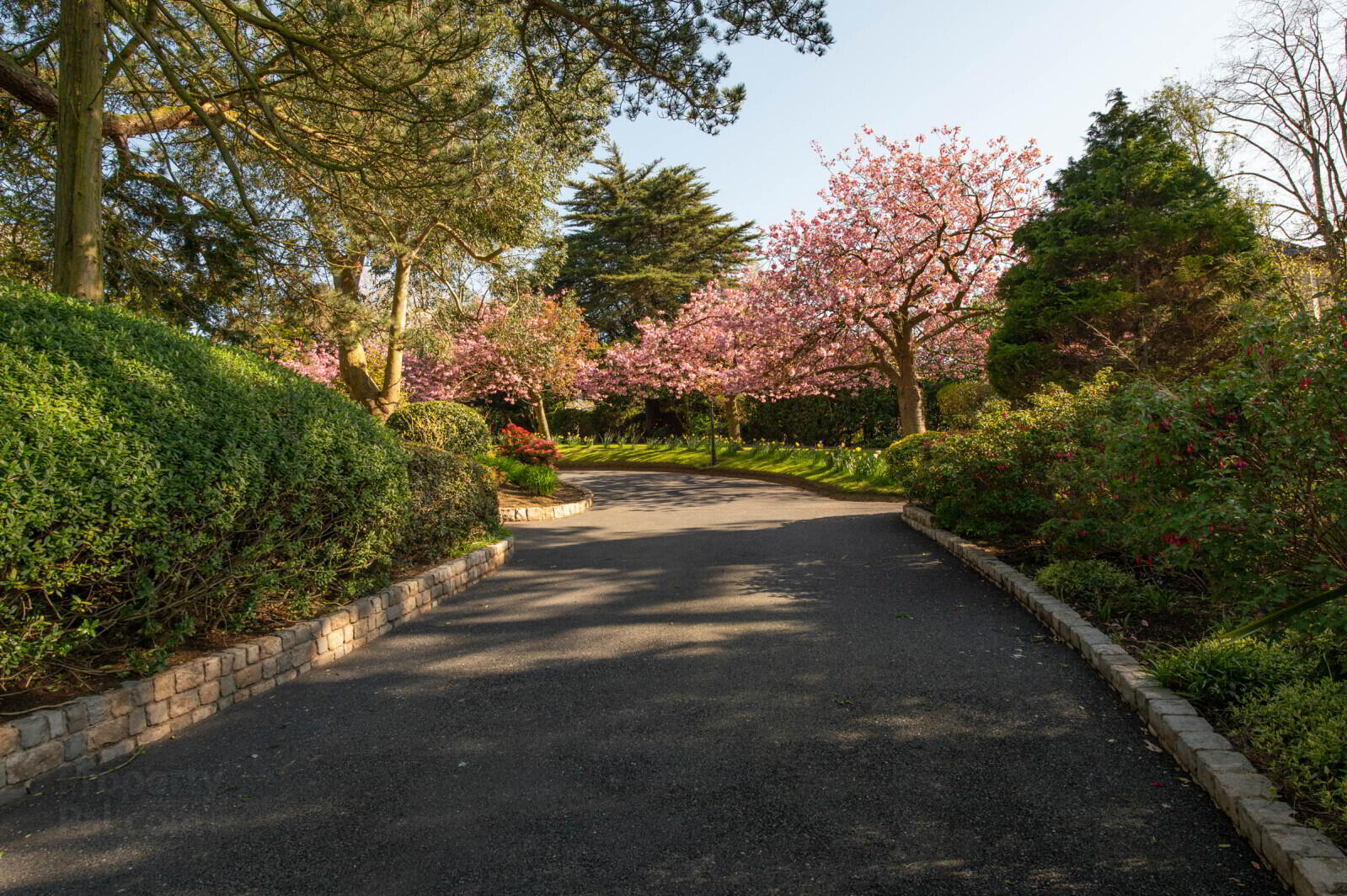 Downshire House, 13 Maxwell Road 72 of 79