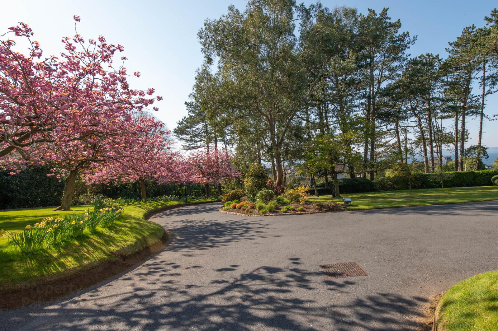 Downshire House, 13 Maxwell Road 79 of 79