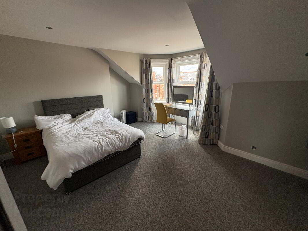 Apt 2, 96 Malone Avenue 4 of 9