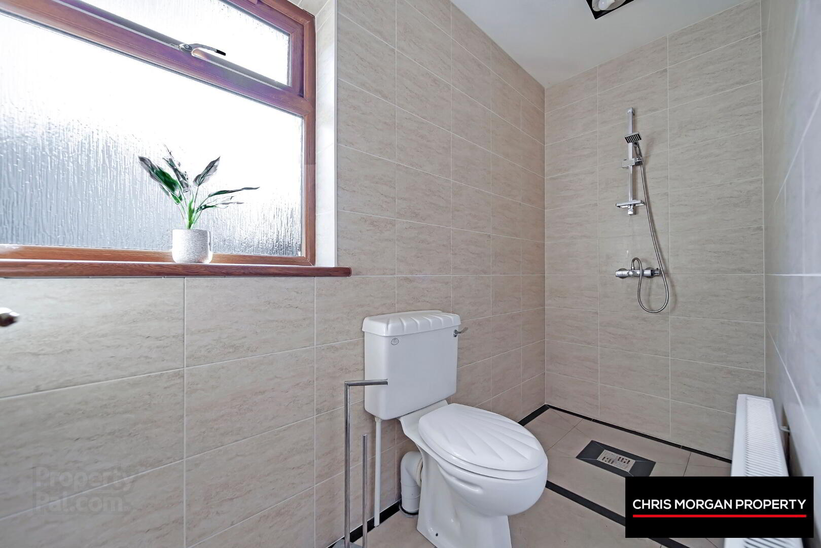 32 A Westland Road 8 of 17