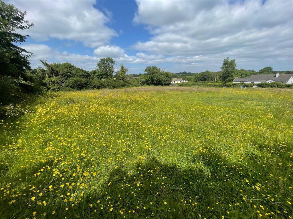 Land At, Downpatrick Road 3 of 8