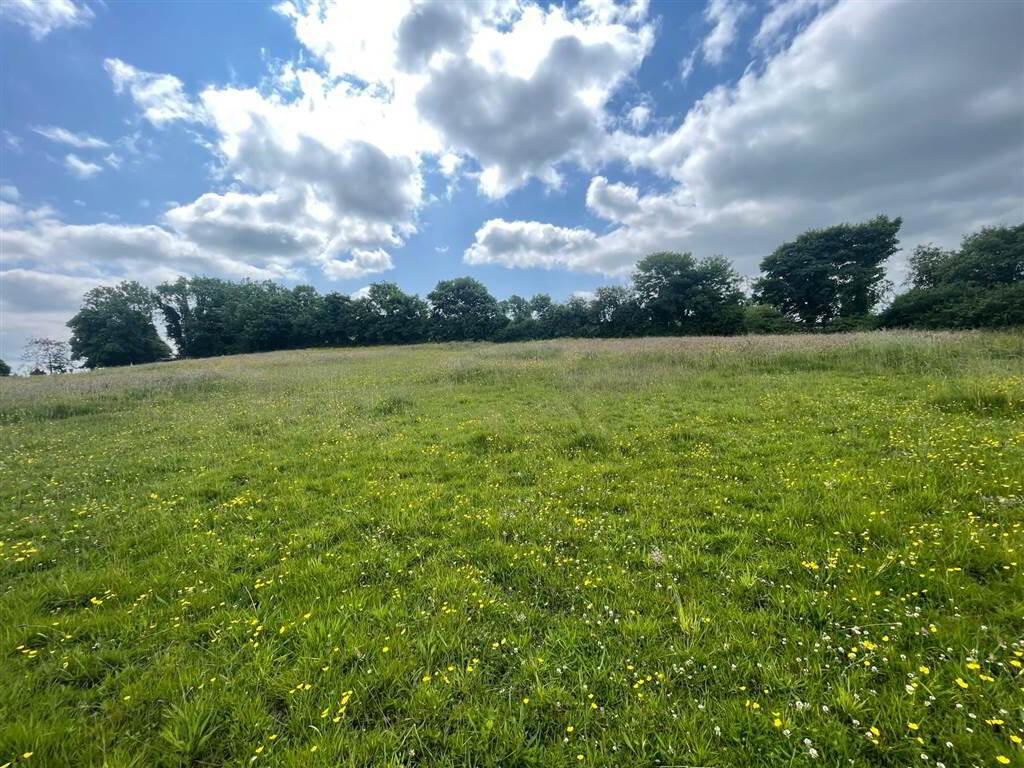 Land At, Downpatrick Road 6 of 8