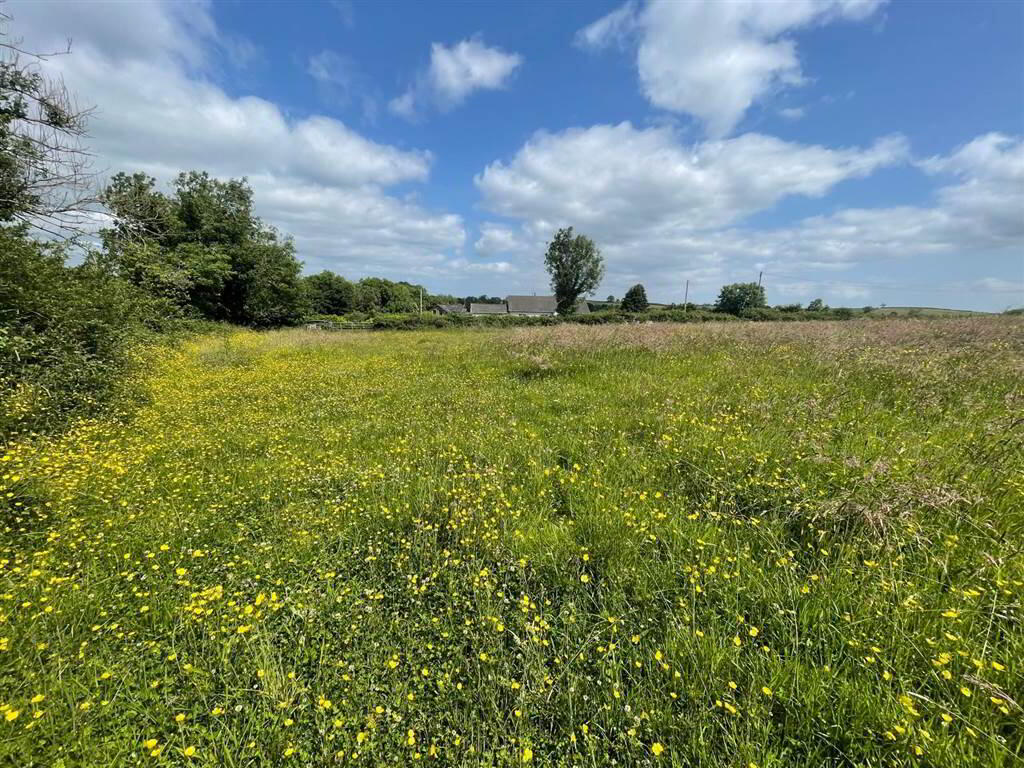 Land At, Downpatrick Road 4 of 8