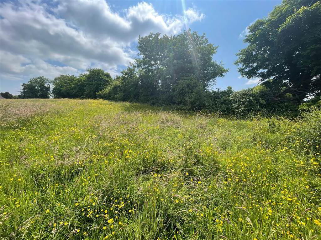 Land At, Downpatrick Road 5 of 8