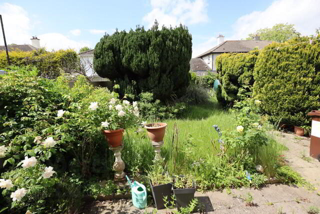 11 Broadmeadow Road 13 of 14