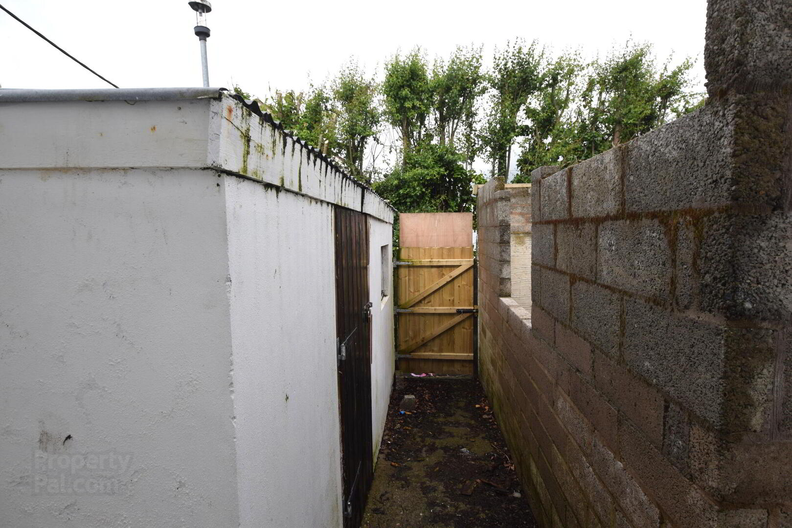 67 Moyola Drive 6 of 12