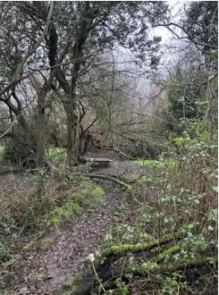 Land At, Carbet Road 3 of 6